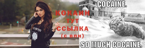 гидропоника Каменка