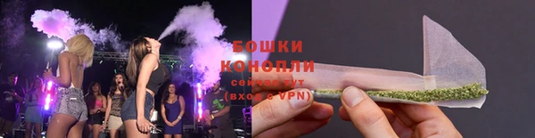 гидропоника Каменка